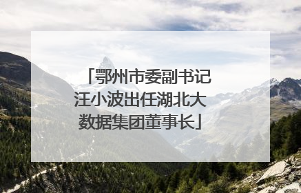 鄂州市委副书记汪小波出任湖北大数据集团董事长